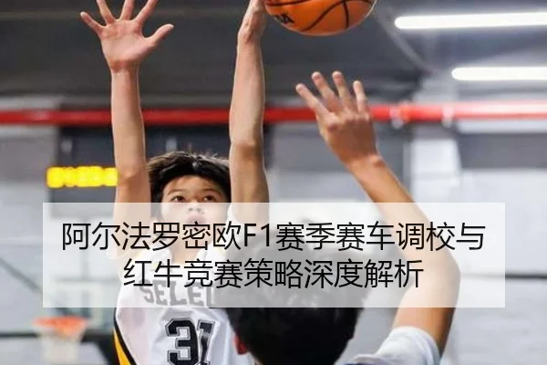 阿尔法罗密欧F1赛季赛车调校与红牛竞赛策略深度解析